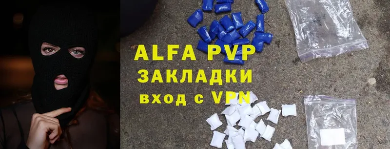 Alfa_PVP СК  blacksprut   Судогда 