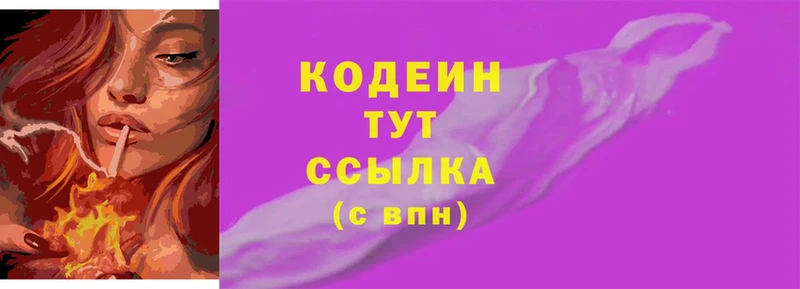 Кодеин Purple Drank  Судогда 